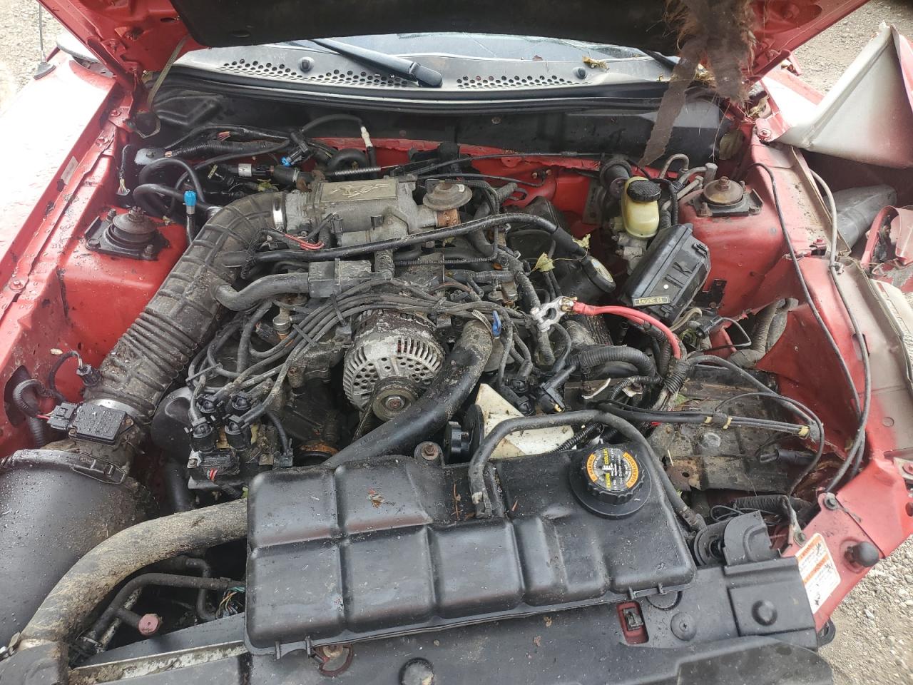 1998 Ford Mustang Gt VIN: 1FAFP45X1WF216647 Lot: 64094015