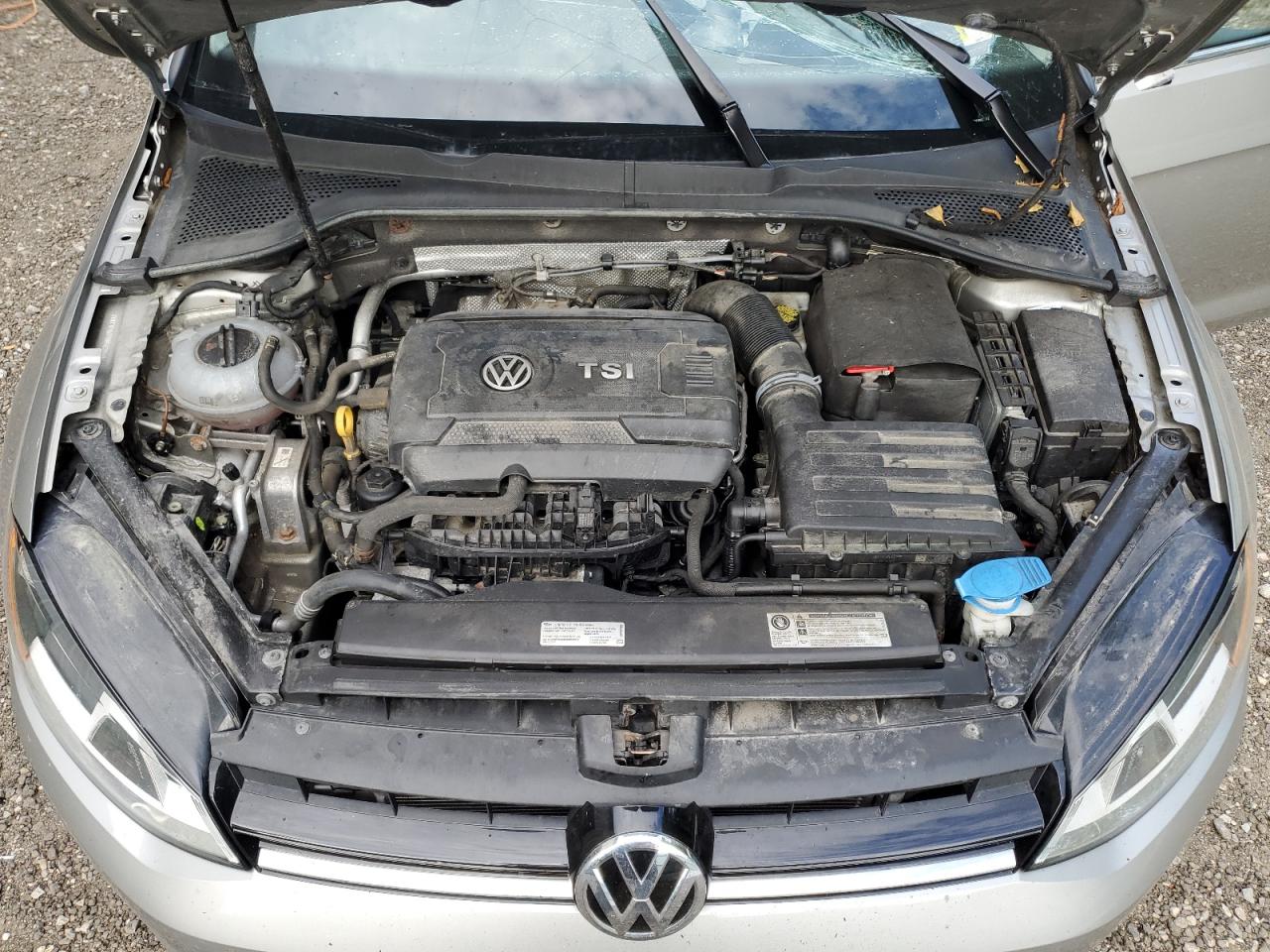 2017 Volkswagen Golf Sportwagen S VIN: 3VWC17AU7HM502840 Lot: 63639055
