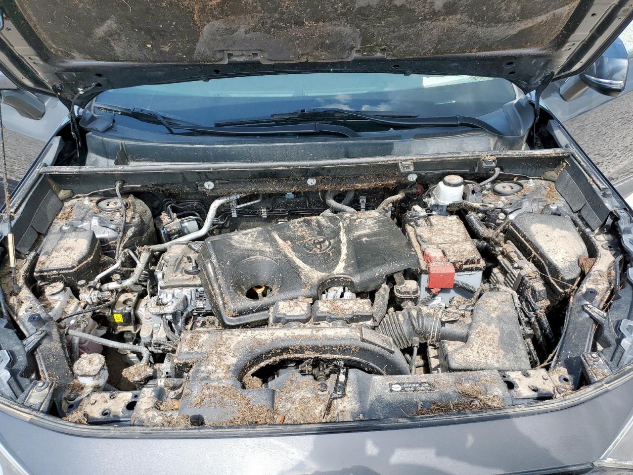 2020 Toyota Rav4 Xle VIN: 2T3W1RFVXLW058597 Lot: 64618145
