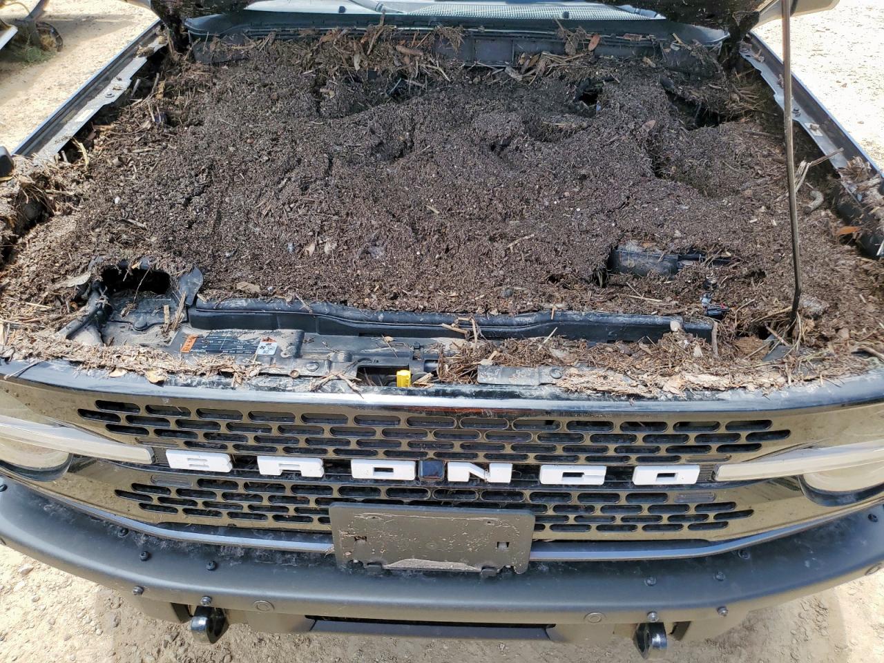 2021 Ford Bronco Base VIN: 1FMEE5DPXMLA68415 Lot: 64988225