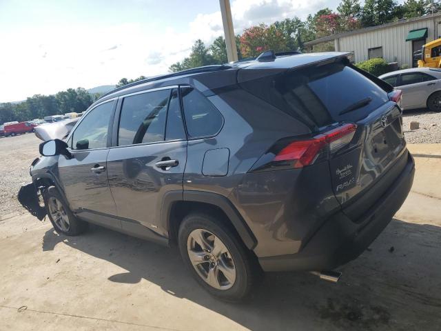  TOYOTA RAV4 2023 Gray