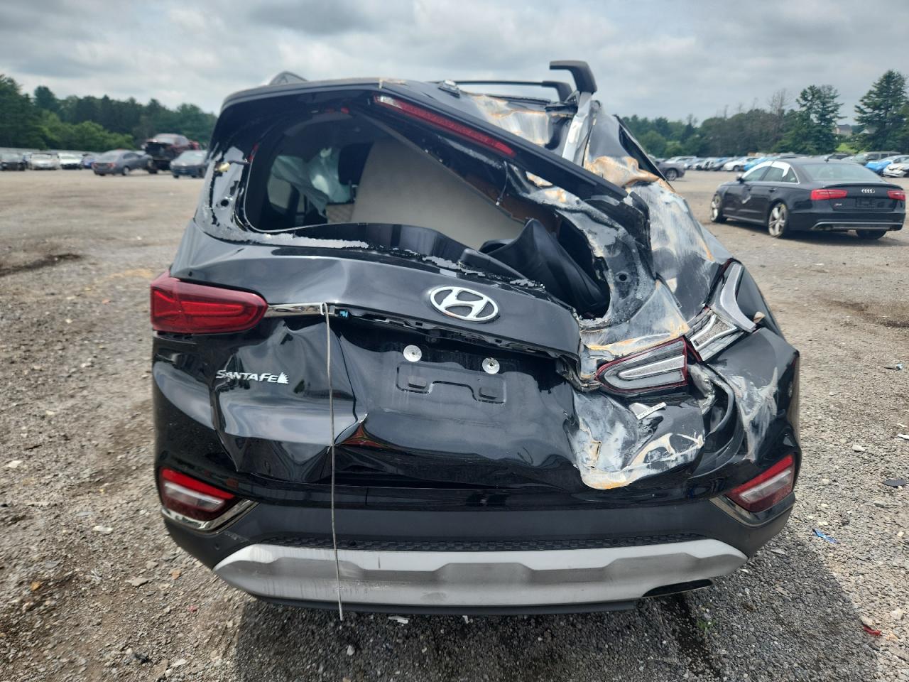 2019 Hyundai Santa Fe Limited VIN: 5NMS5CAD6KH086799 Lot: 64751635