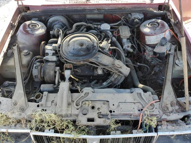 1982 PONTIAC 6000 LE  