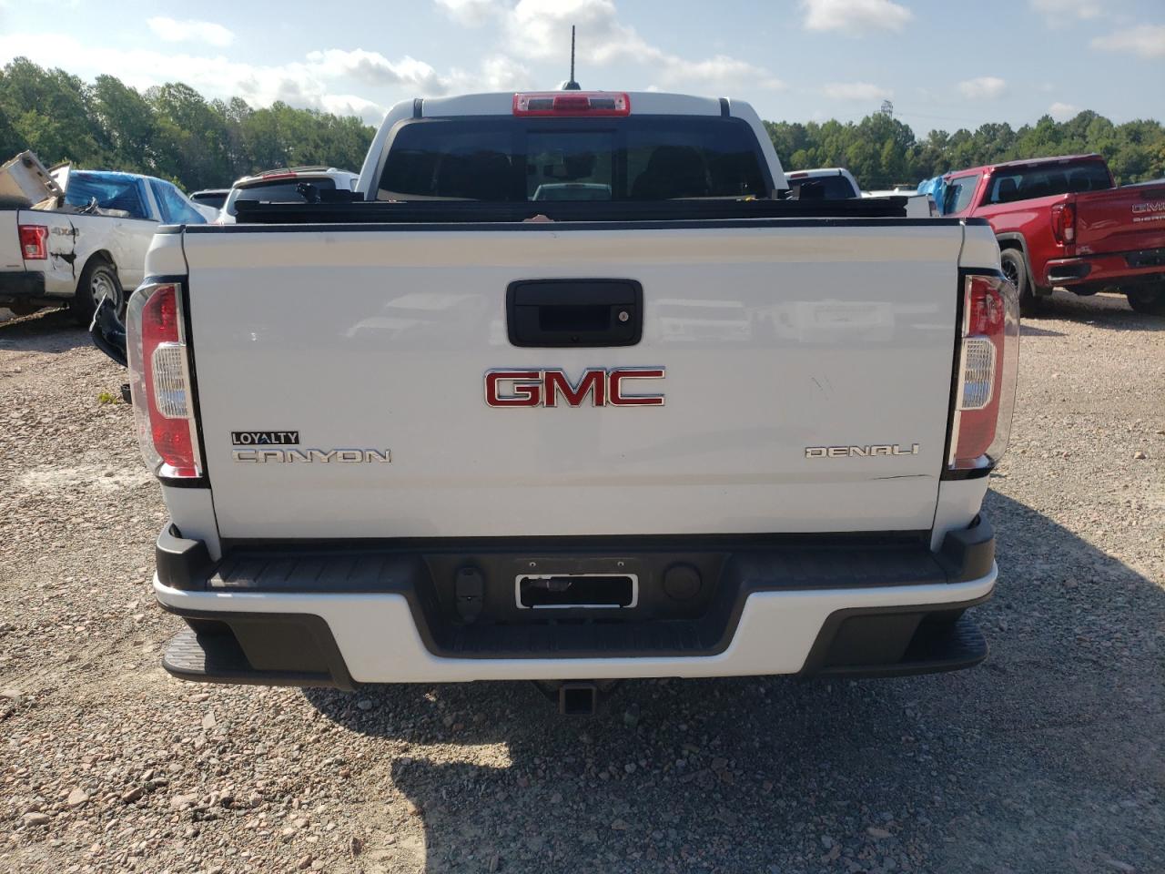 2018 GMC Canyon Denali VIN: 1GTG6EEN6J1100758 Lot: 62390055
