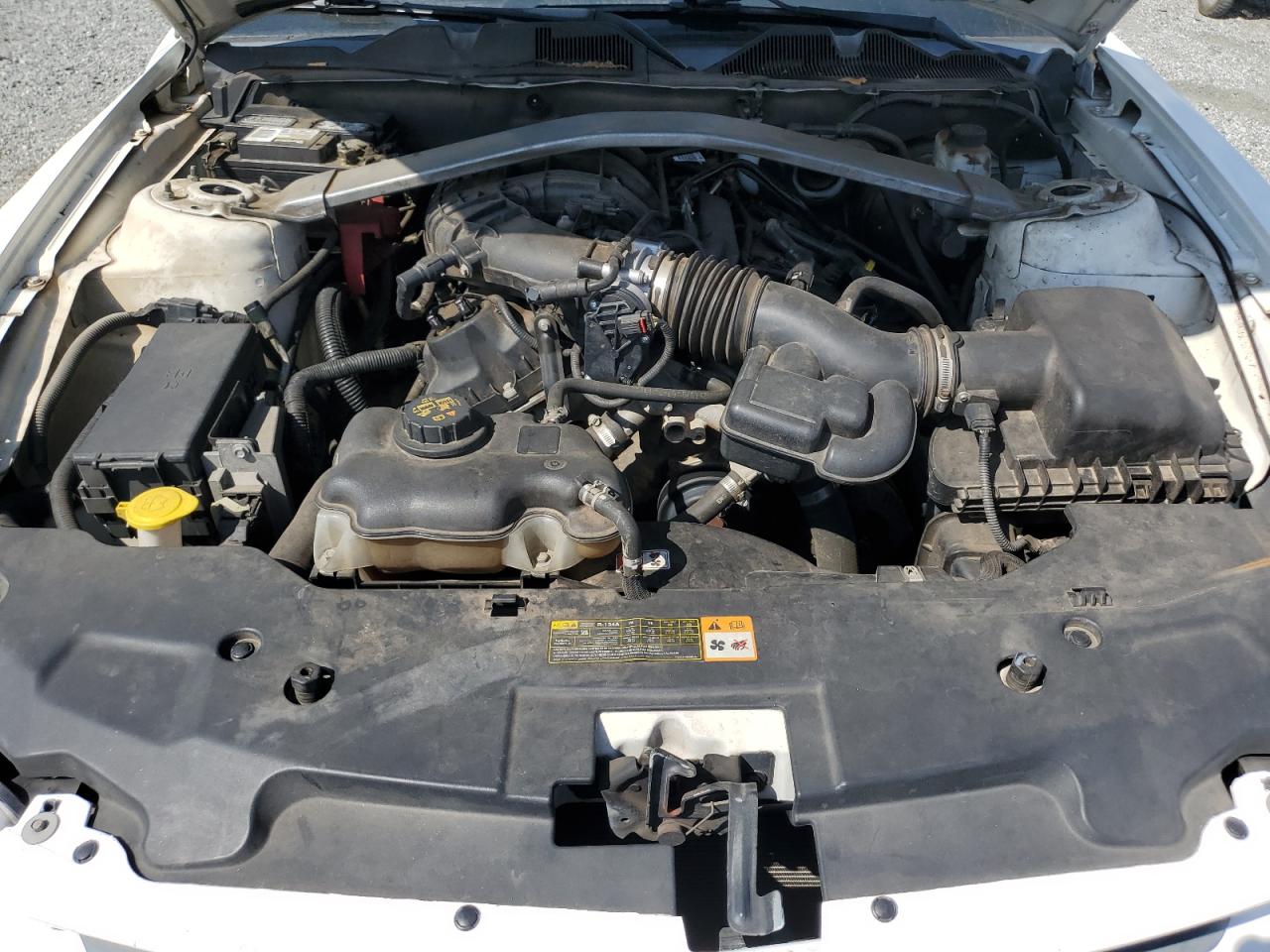 2011 Ford Mustang VIN: 1ZVBP8EM0B5126554 Lot: 64357365