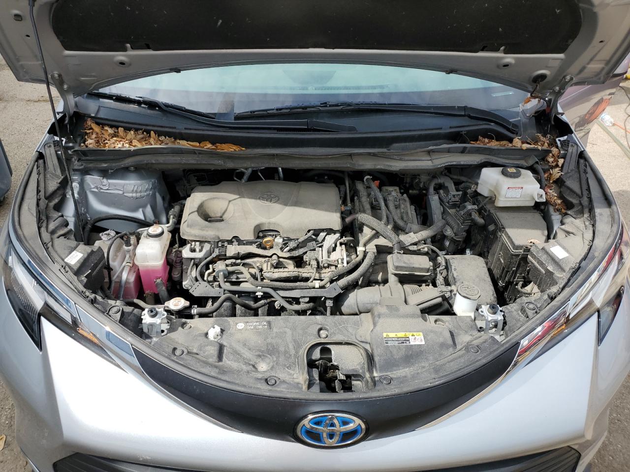 2021 Toyota Sienna Le VIN: 5TDKRKEC2MS005071 Lot: 65126355