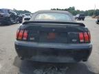 1999 FORD MUSTANG COBRA SVT   à vendre chez Copart NC - RALEIGH