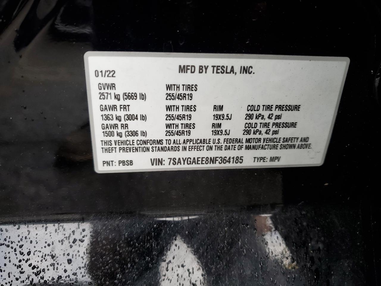 2022 Tesla Model Y VIN: 7SAYGAEE8NF364185 Lot: 63034525