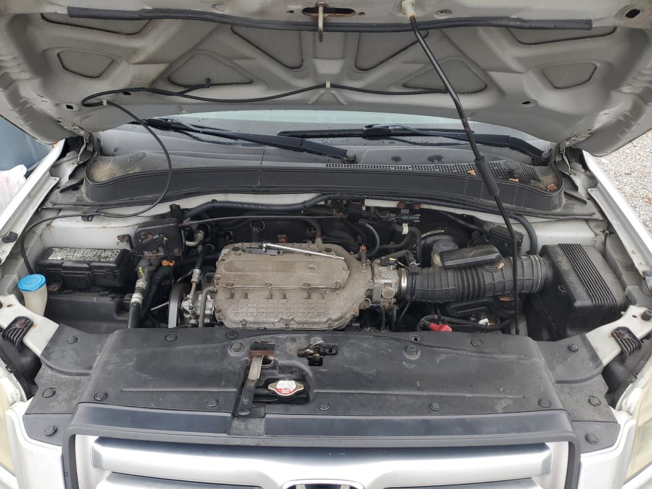 2006 Honda Pilot Ex VIN: 5FNYF18676B009904 Lot: 63065915