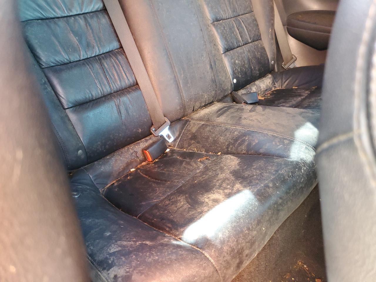 2011 Honda Accord Exl VIN: 1HGCS1B83BA013954 Lot: 64554005