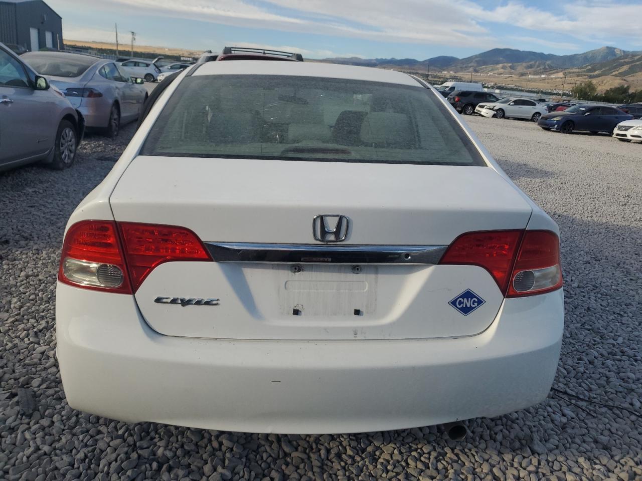 2009 Honda Civic Gx VIN: 1HGFA46519L000393 Lot: 66169755