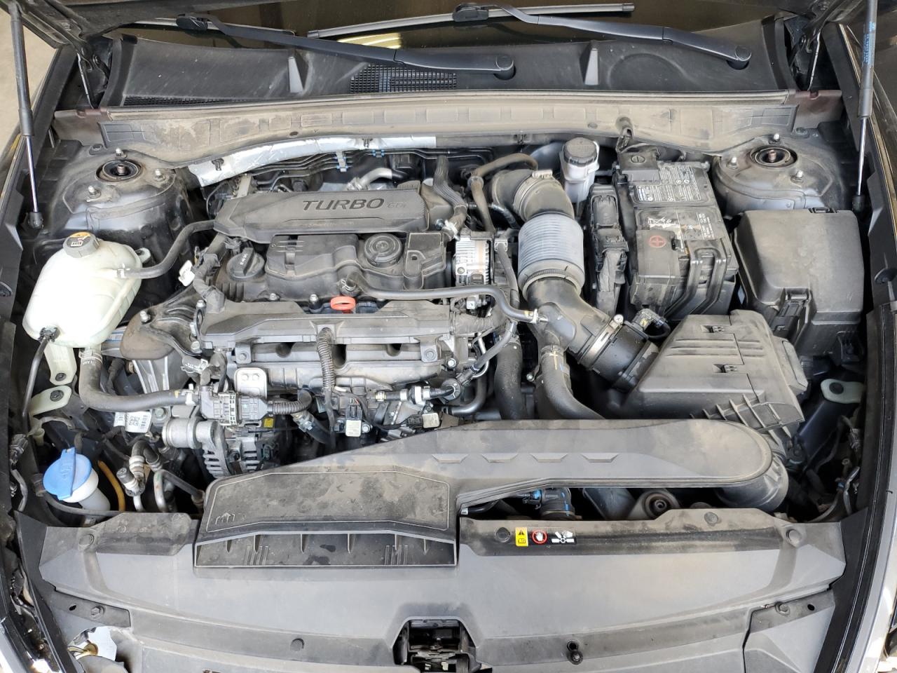 2020 Hyundai Sonata Limited VIN: 5NPEH4J22LH009540 Lot: 65389835