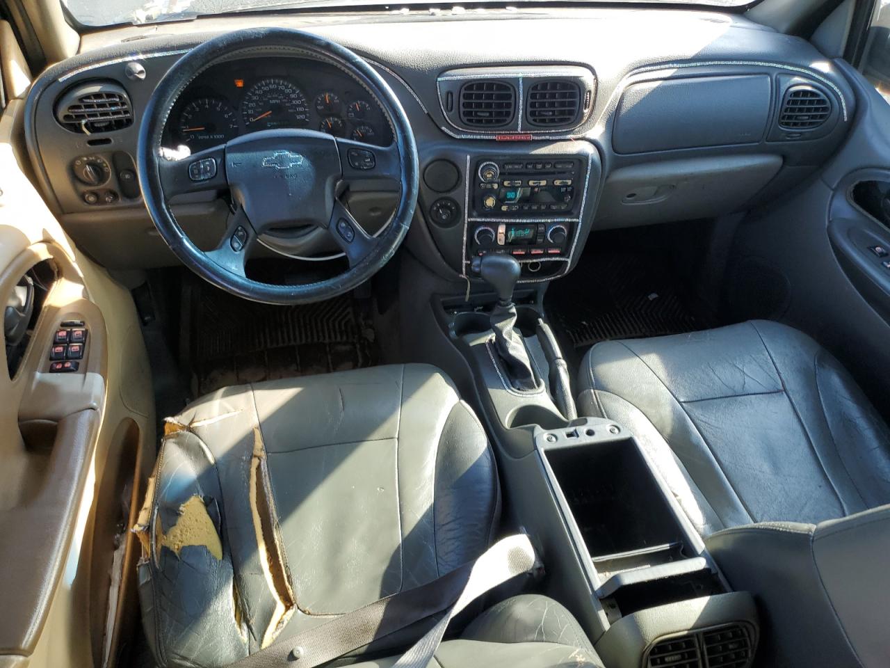 2003 Chevrolet Trailblazer VIN: 1GNDS13SX32311336 Lot: 65122935