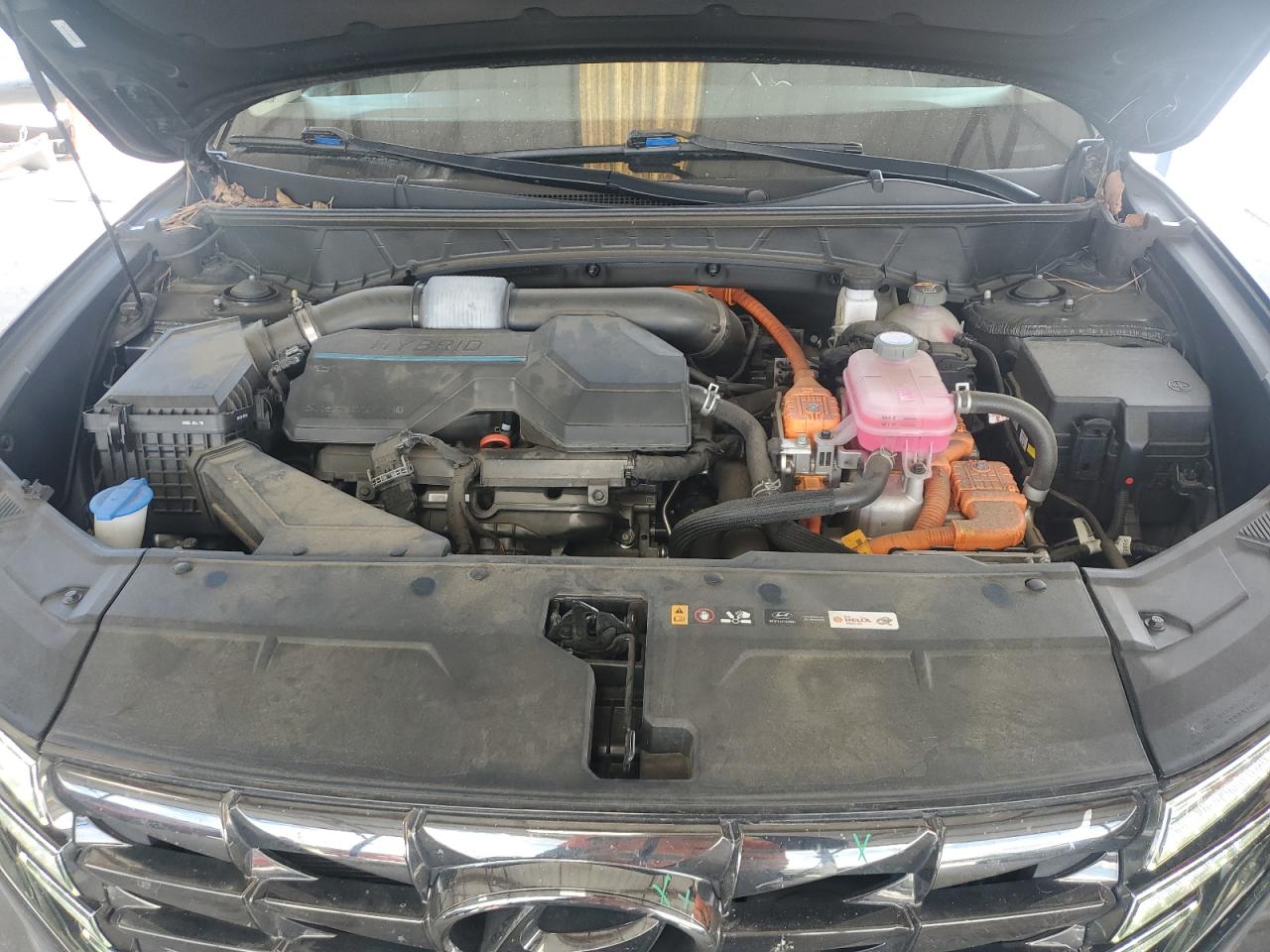 2022 Hyundai Tucson Limited VIN: KM8JECA10NU058054 Lot: 64404515