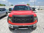 2013 FORD F150 SUPERCREW à vendre chez Copart KY - LEXINGTON WEST