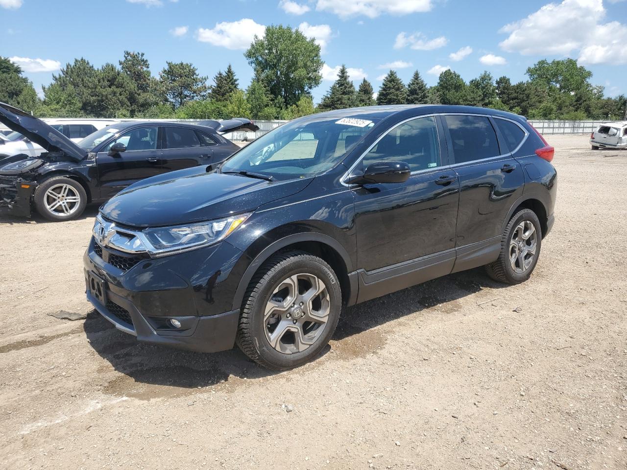 2019 Honda Cr-V Exl VIN: 5J6RW2H81KL012200 Lot: 62822925