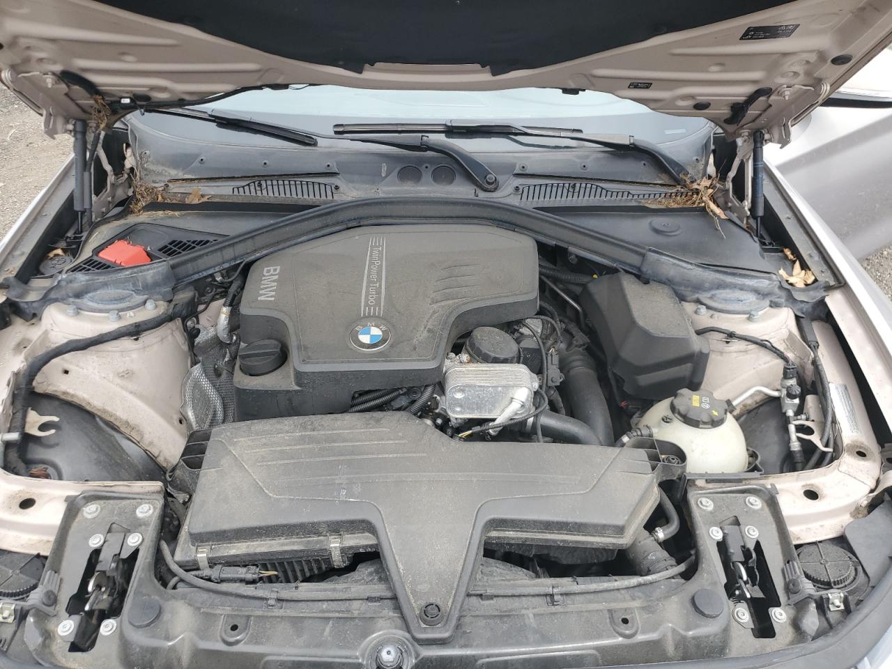 2016 BMW 228 Xi Sulev VIN: WBA1G9C52GV599781 Lot: 64301565