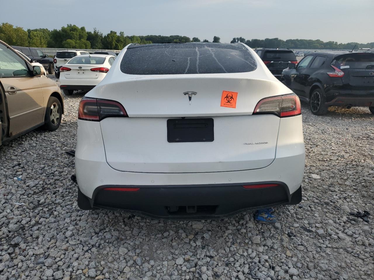 2020 Tesla Model Y VIN: 5YJYGDEE7LF049972 Lot: 66141075