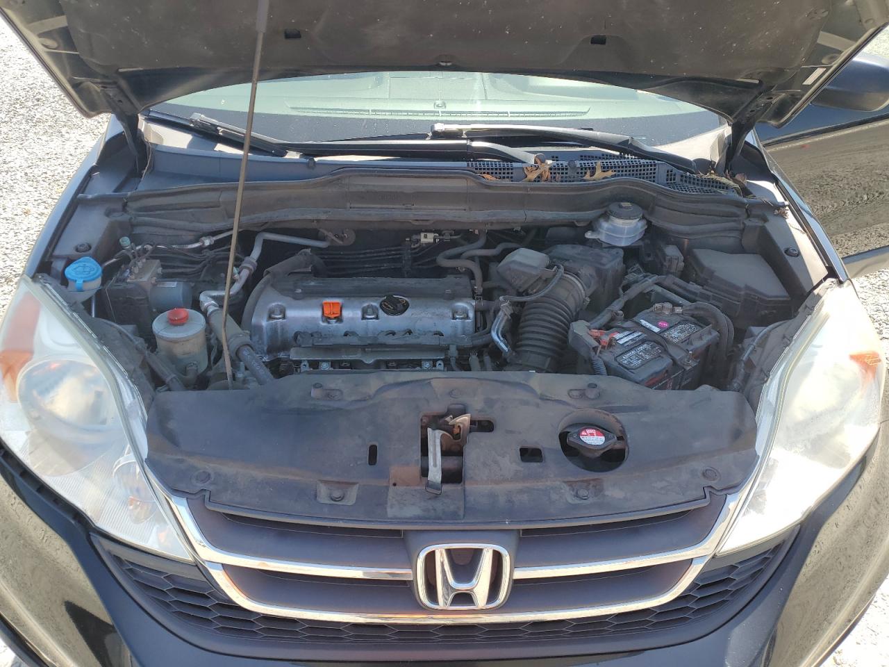 2010 Honda Cr-V Lx VIN: 5J6RE4H38AL803230 Lot: 64864495