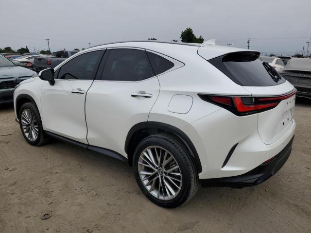  LEXUS NX 350H BA 2024 Белы