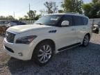 2013 INFINITI QX56    for sale at Copart FL - TAMPA SOUTH