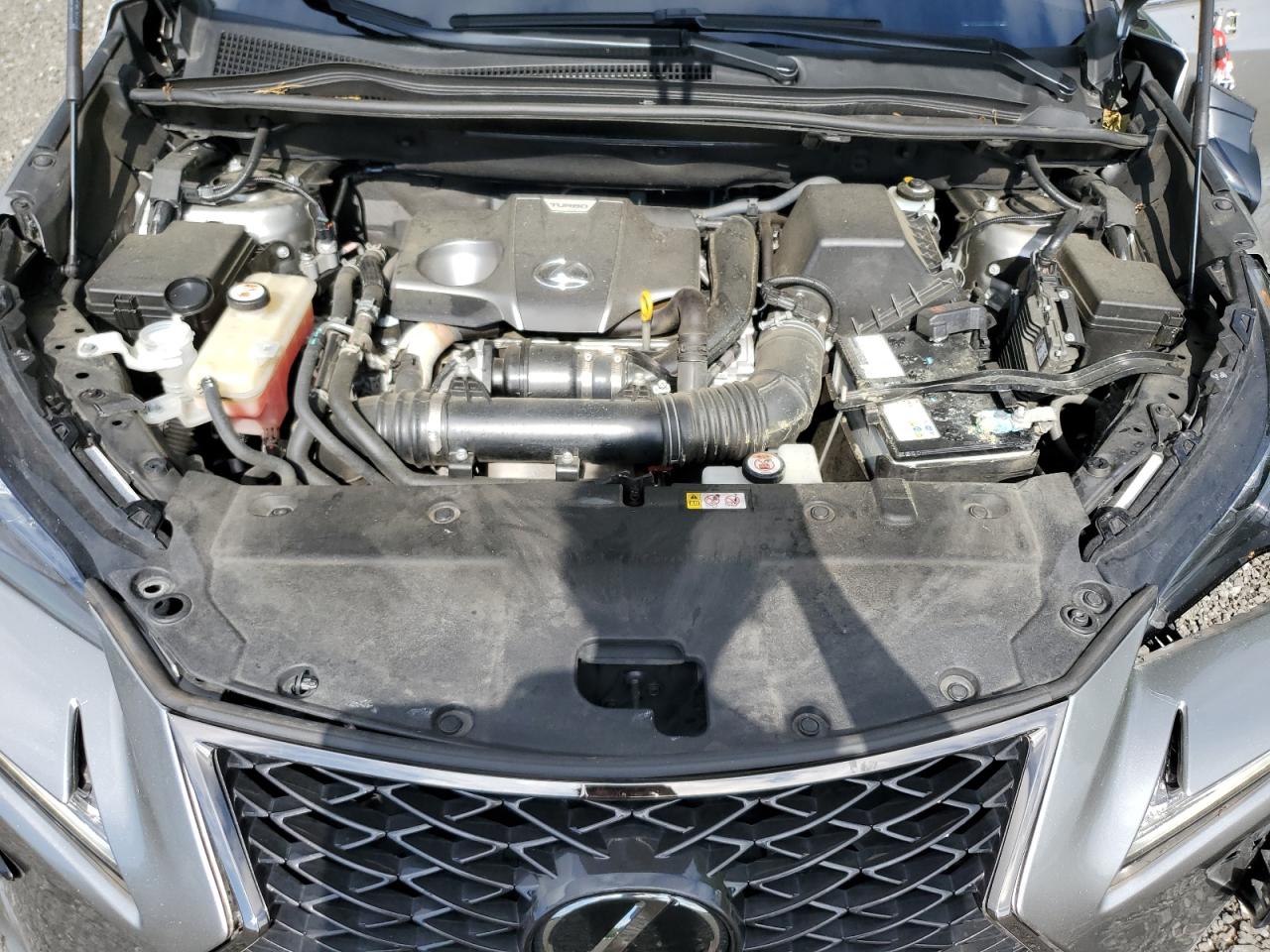 2021 Lexus Nx 300 Base VIN: JTJSARDZ1M2246159 Lot: 62236145