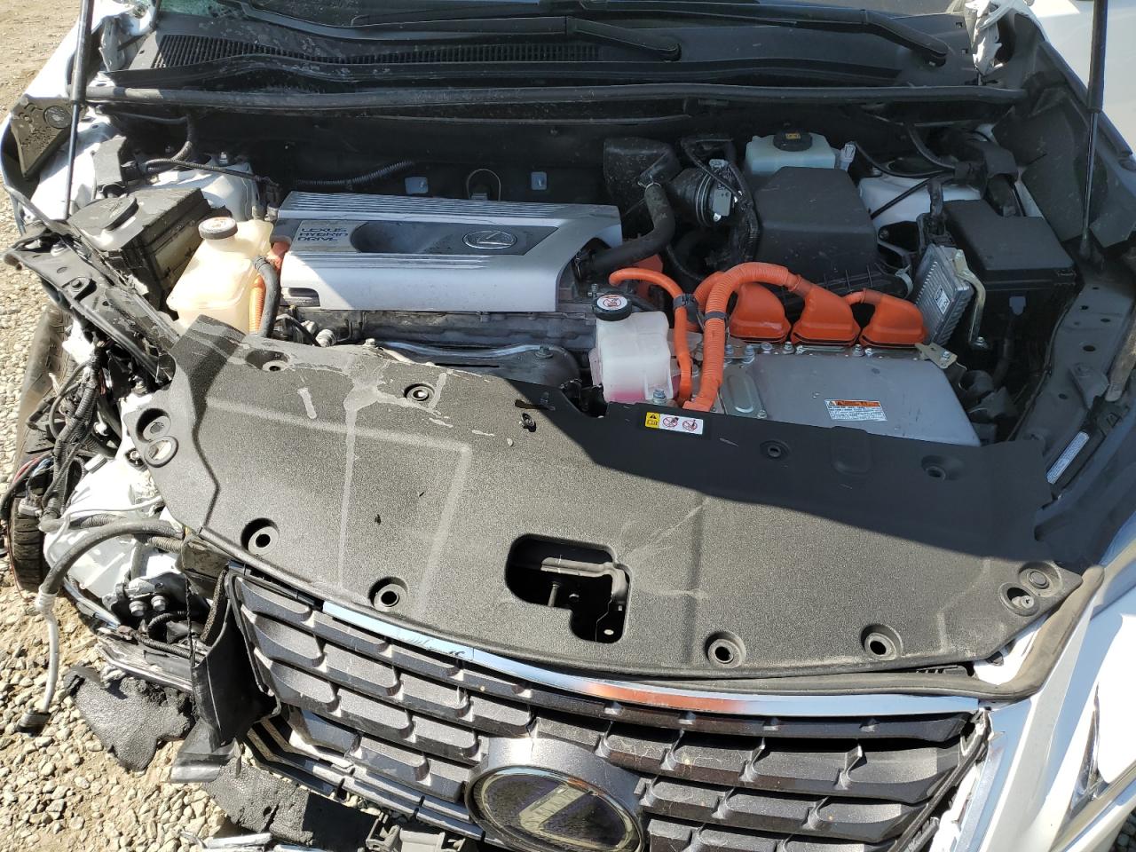 2020 Lexus Nx 300H VIN: JTJGJRDZ6L5009301 Lot: 64702335
