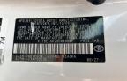 2009 TOYOTA CAMRY BASE   for sale at Copart FL - ORLANDO NORTH