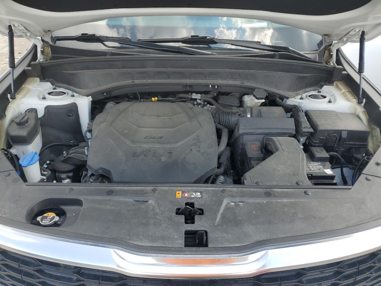 2022 Kia Telluride Sx VIN: 5XYP5DHC4NG317299 Lot: 64523625