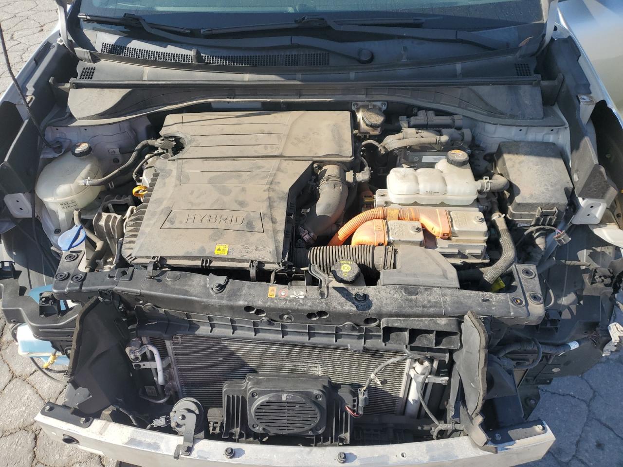 2019 Kia Niro Fe VIN: KNDCB3LC2K5318867 Lot: 63695645