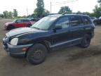 2006 HYUNDAI SANTA FE GLS   for sale at Copart QC - MONTREAL