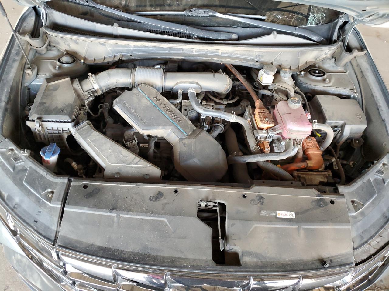 2023 Hyundai Tucson Limited VIN: KM8JECA19PU097146 Lot: 66296125