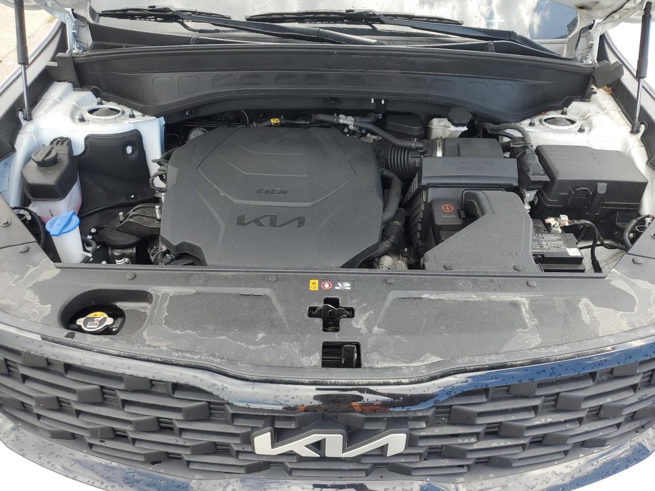 2022 Kia Telluride Ex VIN: 5XYP3DHCXNG285755 Lot: 64198855