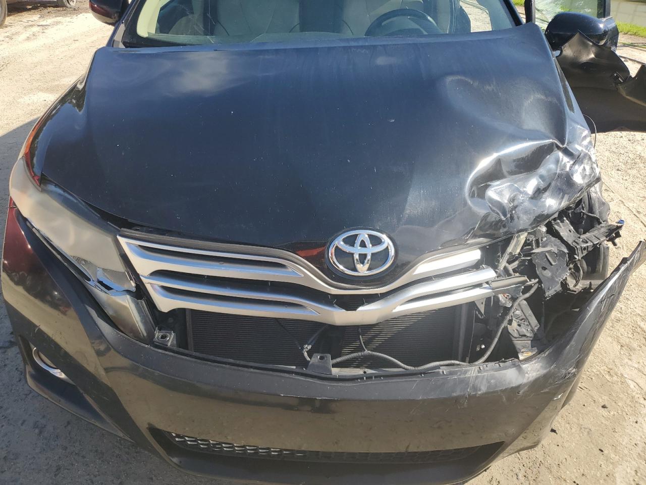 2009 Toyota Venza VIN: 4T3BK11A09U012366 Lot: 64250925