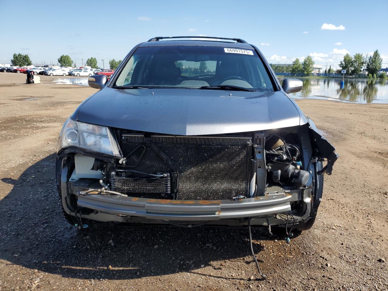 2009 Acura Mdx Technology VIN: 2HNYD28609H003124 Lot: 66991575