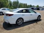 2019 HYUNDAI SONATA LIMITED   à vendre chez Copart ON - COOKSTOWN