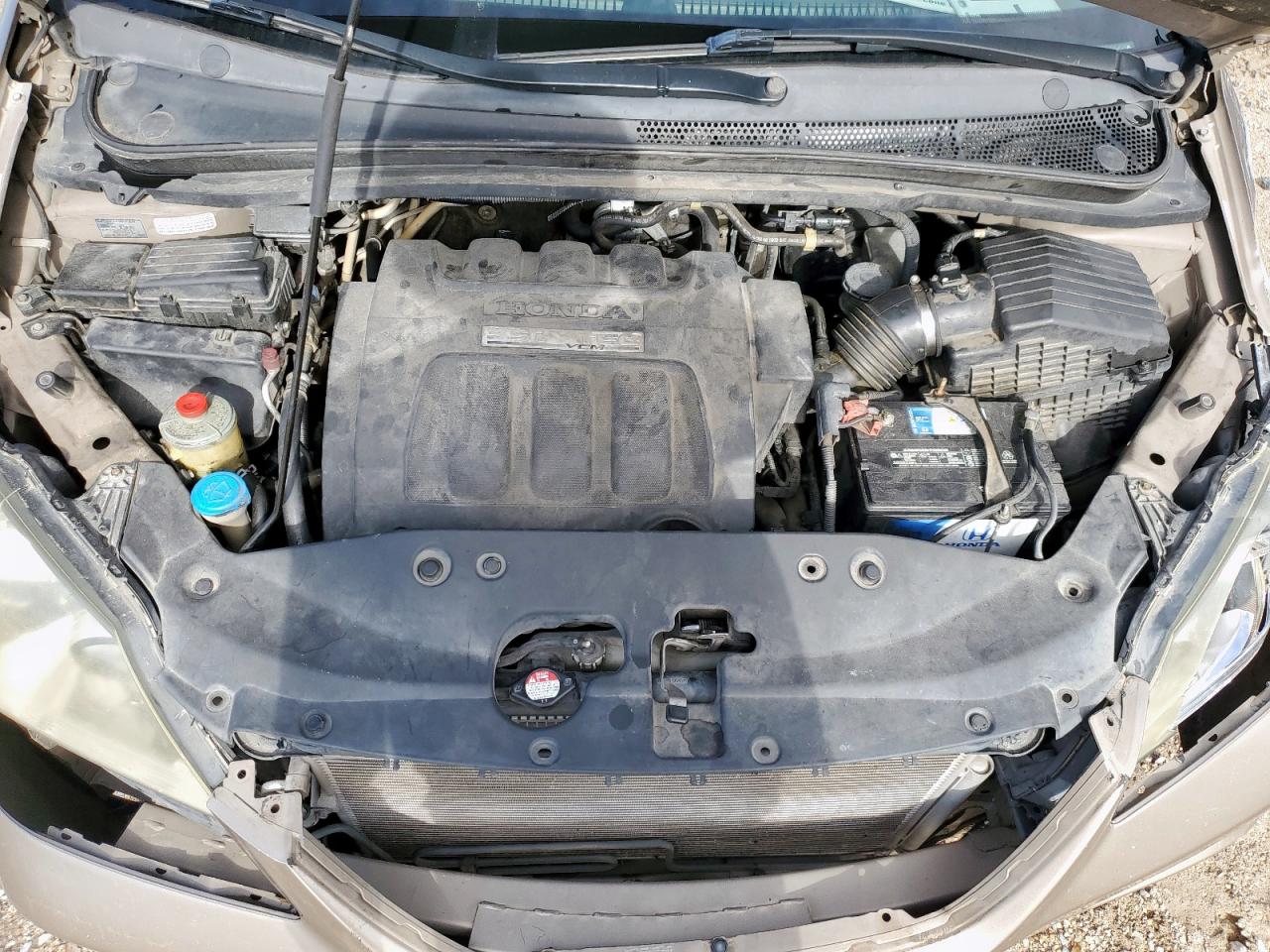 2007 Honda Odyssey Exl VIN: 5FNRL38747B408711 Lot: 63908845