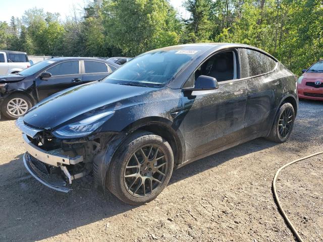 2022 TESLA MODEL Y    for sale at Copart ON - COOKSTOWN