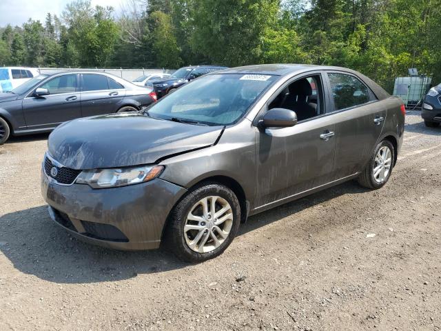 2011 KIA FORTE EX   for sale at Copart ON - COOKSTOWN