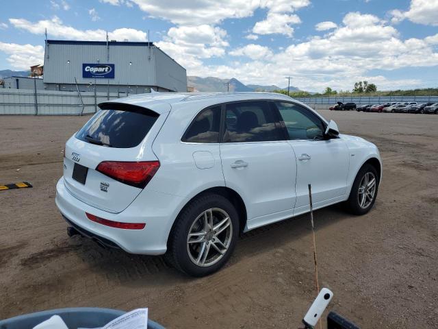  AUDI Q5 2016 Белы
