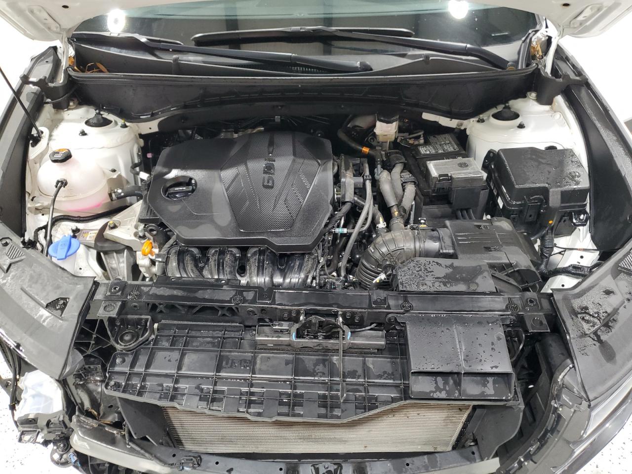 2024 Hyundai Tucson Sel VIN: 5NMJBCDE9RH421895 Lot: 64991075