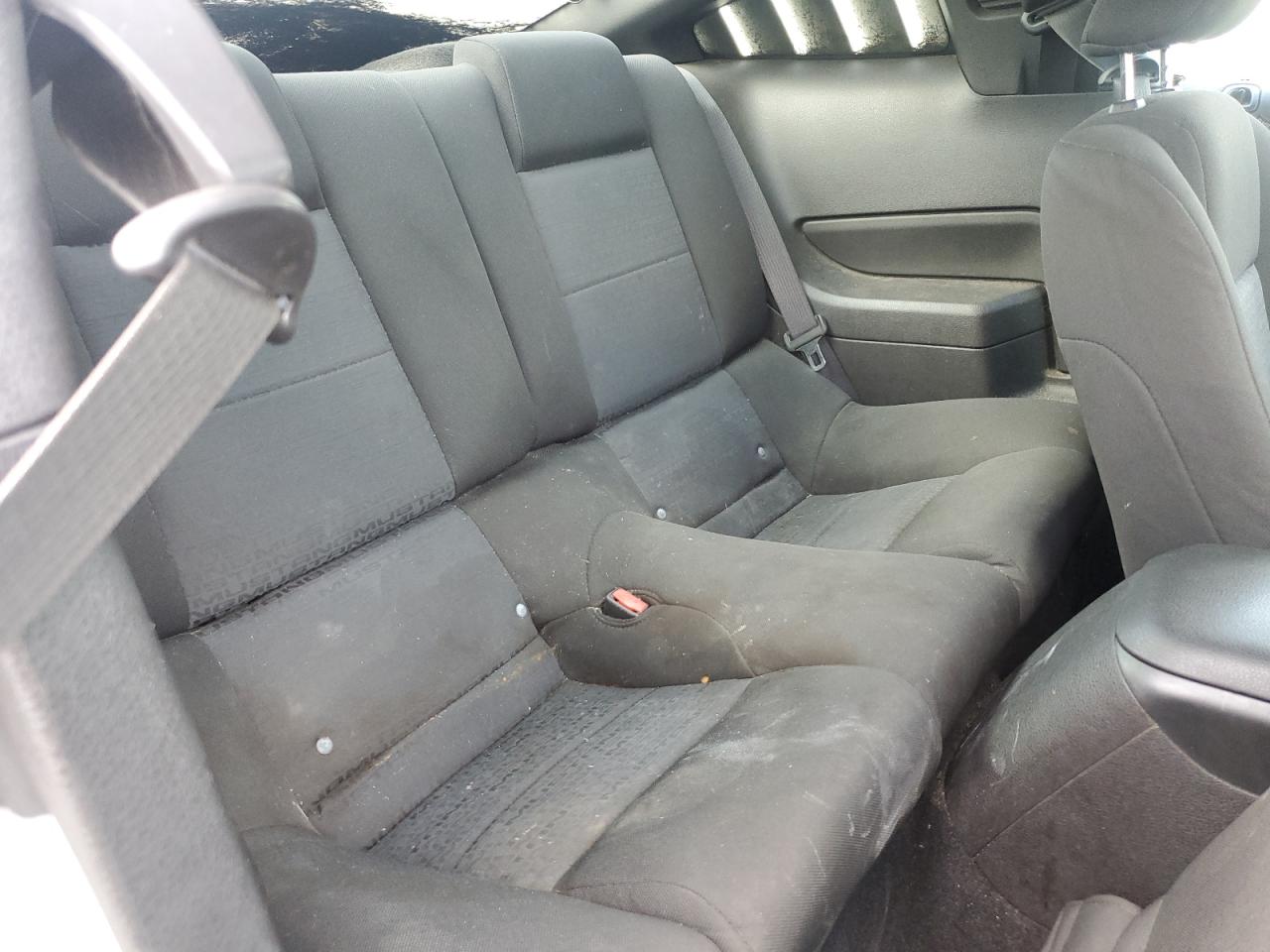 2008 Ford Mustang VIN: 1ZVHT80N185124729 Lot: 65571195