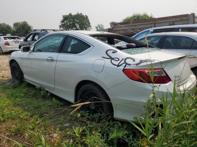 2013 HONDA ACCORD EX  