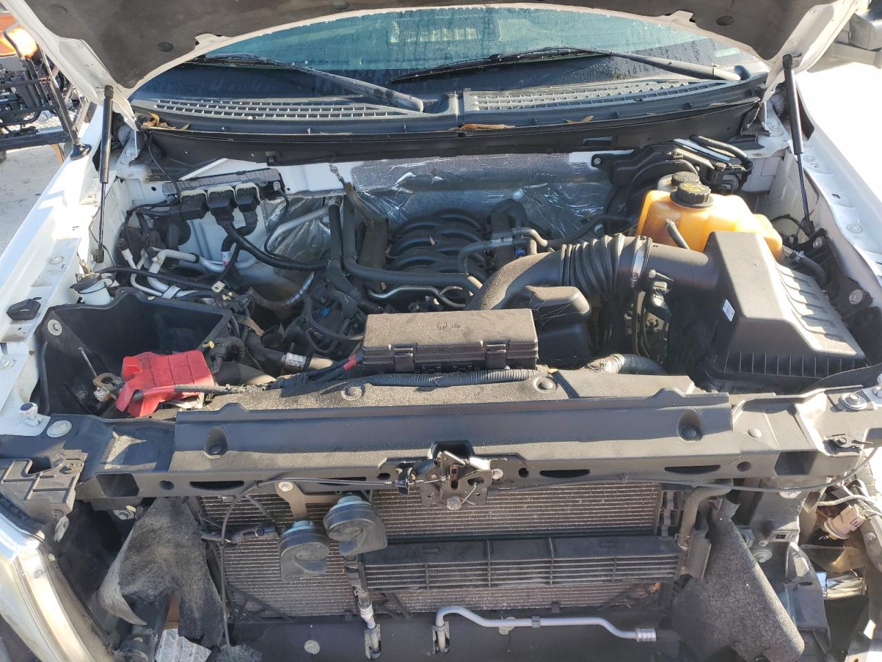 2013 Ford F150 VIN: 1FTMF1EF5DKG03460 Lot: 63783205