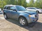 2011 FORD ESCAPE XLT   à vendre chez Copart ON - COOKSTOWN
