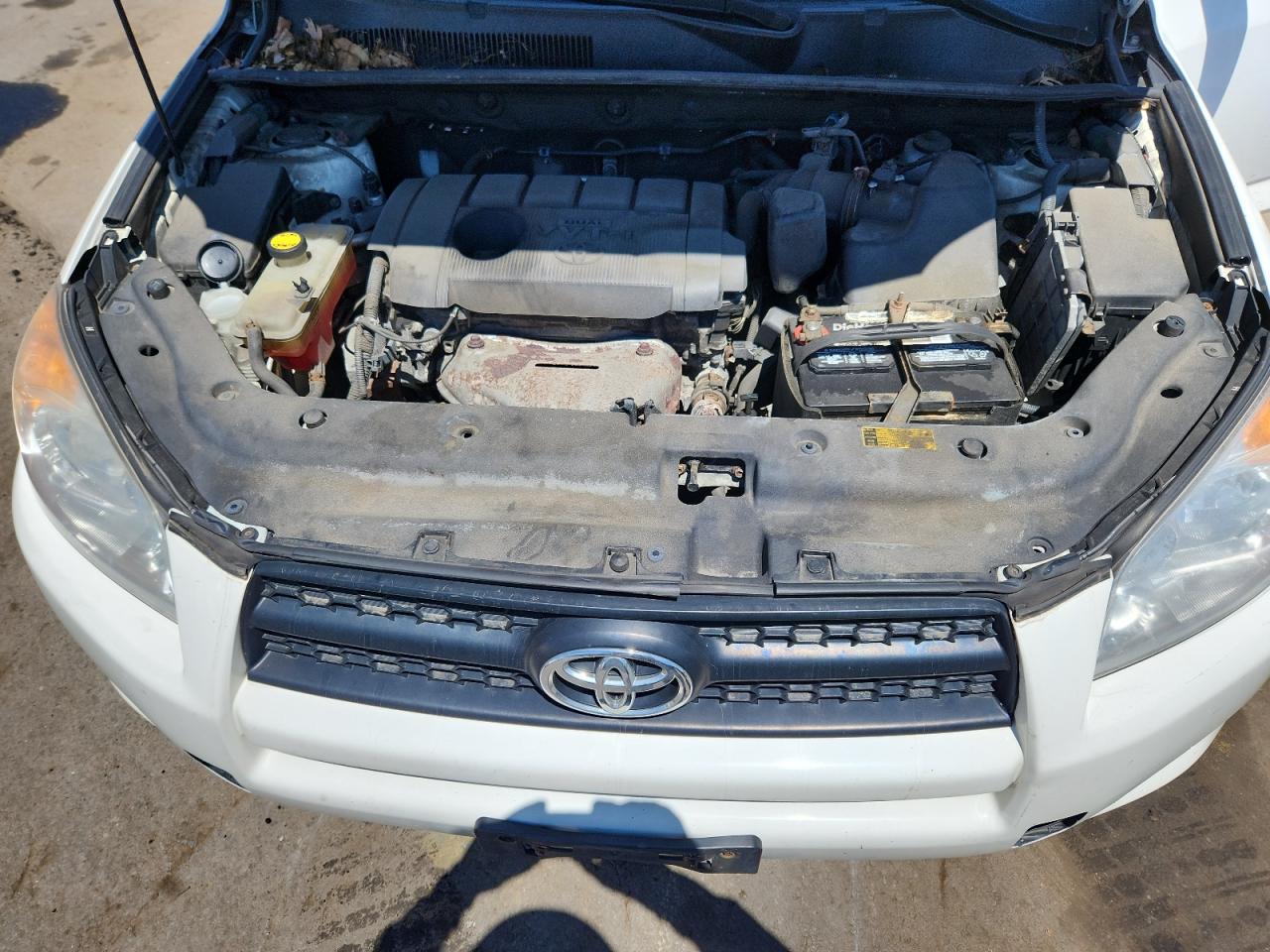 2011 Toyota Rav4 VIN: 2T3BF4DV5BW144596 Lot: 65130835