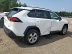 2019 TOYOTA RAV4 LE   à vendre chez Copart ON - COOKSTOWN