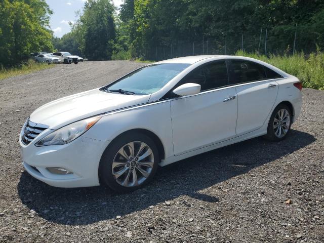  HYUNDAI SONATA 2013 Biały