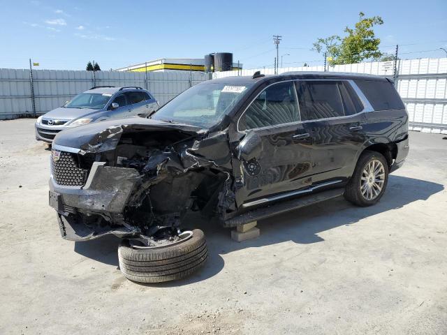  CADILLAC ESCALADE 2021 Czarny