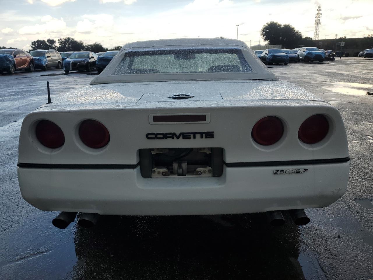 1989 Chevrolet Corvette VIN: 1G1YY3186K5107036 Lot: 63697875
